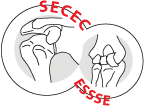 secec-logo secec logo